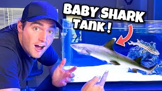 Surprising My Roommate With A Baby Shark ! What Happens ?1