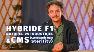 Les hybrides F1 : mensonges, travail d'enfant et marchés captifs !