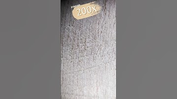 Maximum zoom _ wood#asmr #macro #amazing #shorts