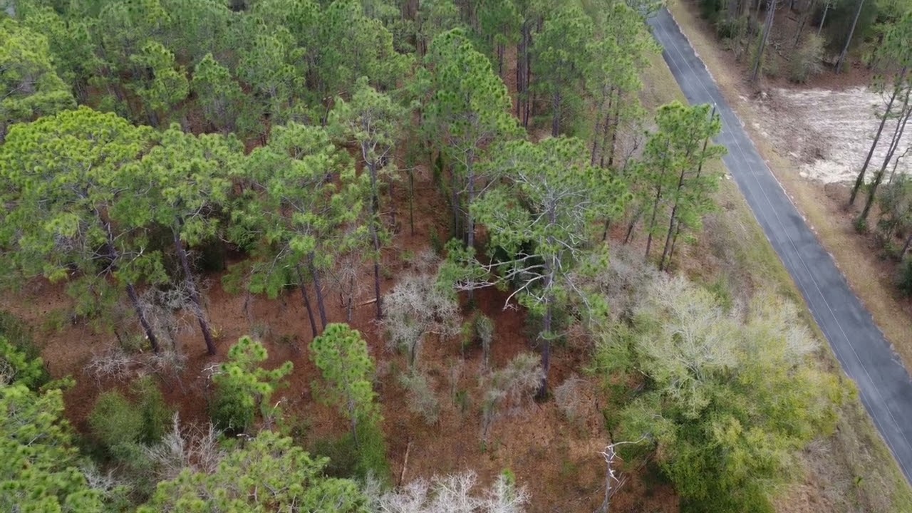 A Remarkable 0.24 Acre of Land in Marion County, Florida! 1814-022-052