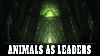 ANIMALS AS LEADERS - Monomyth | No Guitar