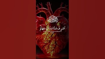 سورة الفرقان #اكسبلور #surahalfurqan #لايك #quran #قرآن