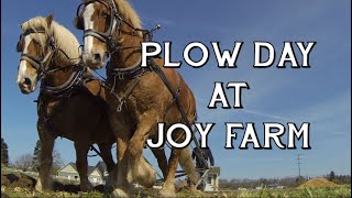 Plow day at Joy Farm