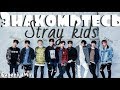 KPOP| ЗНАКОМЬТЕСЬ STRAY KIDS| ЛЮБИМЫЕ ДЕТКИ| Часть1