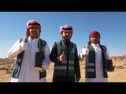 زراعة 1000 شتلة