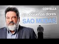 Mario Sergio Cortella - As pequenas dores são mudas