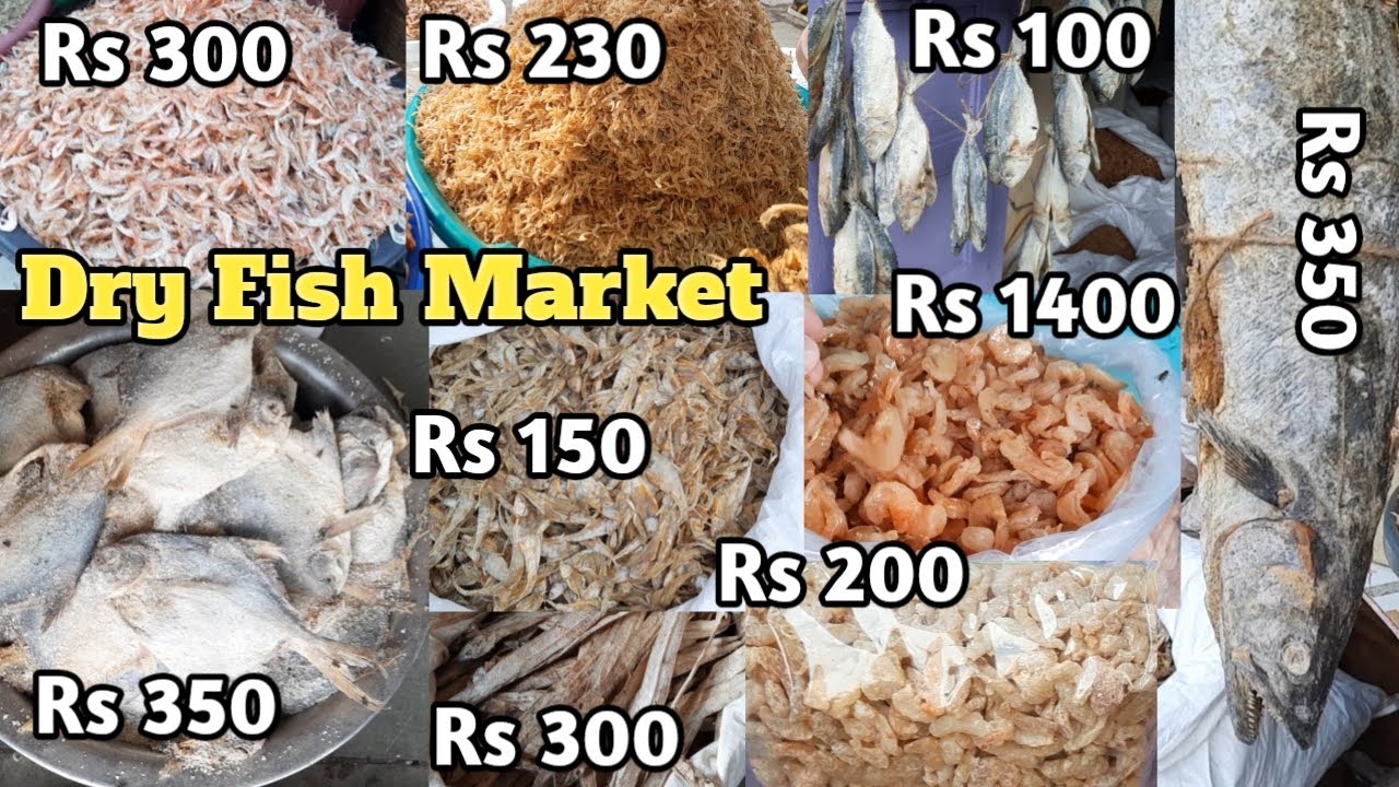 Sewri Dry Fish Market Price Shivadi Dry Fish Market Dry Fish market