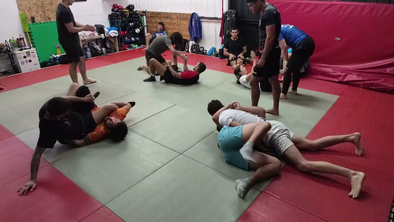 Bjj 9/01/2025