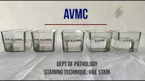 Hematoxylin & Eosin Staining  Procedure, Principle with Video Lecture
