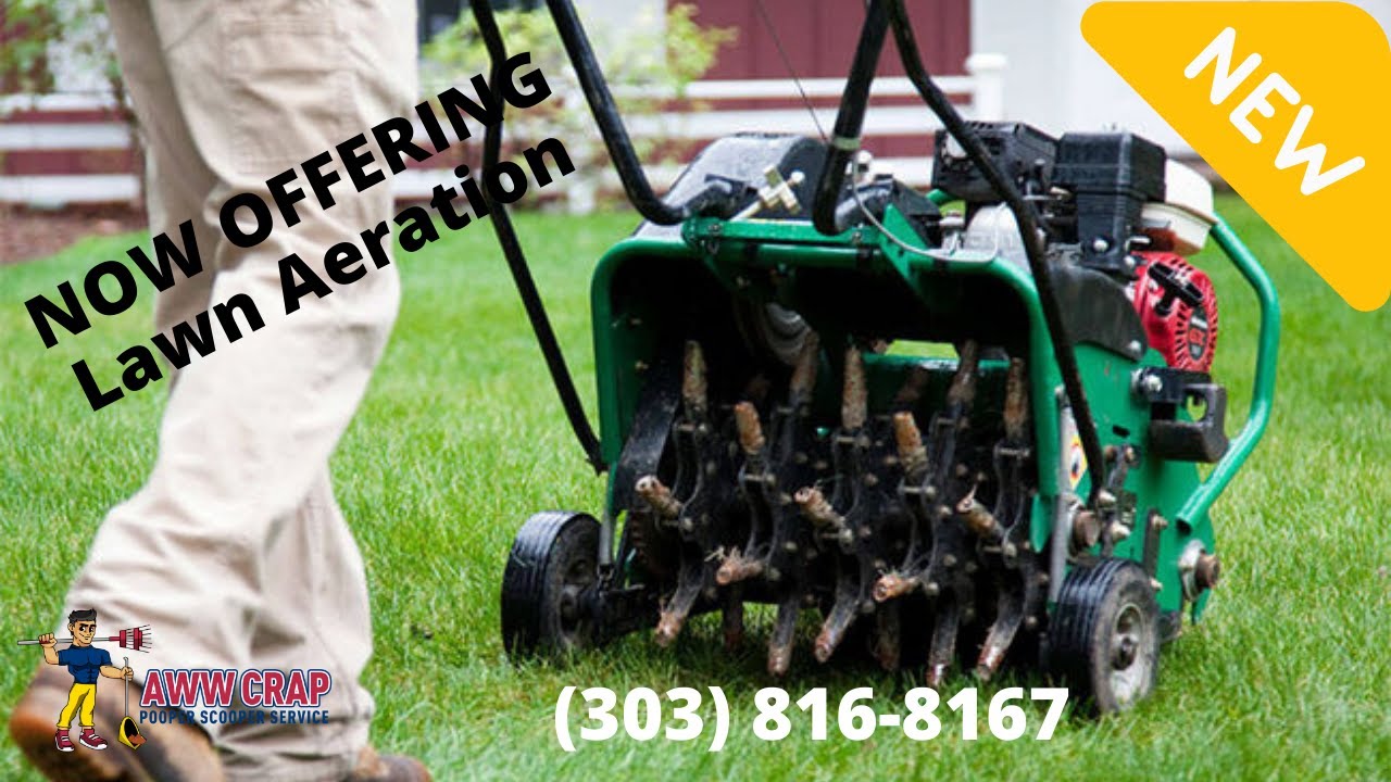 🆕Pooper Scooper Service Get It For Free Pooper Scooper Service Near Me