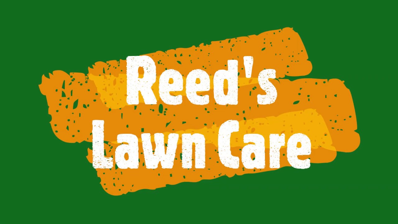 THE FIRST VIDEO! [Simple Yard Maintenance]