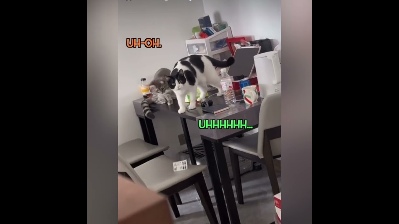 Resurgence (voiceovers by @Catrwaulin)