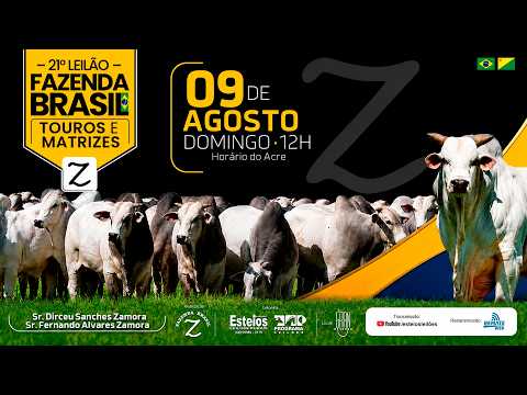 LOTE 47