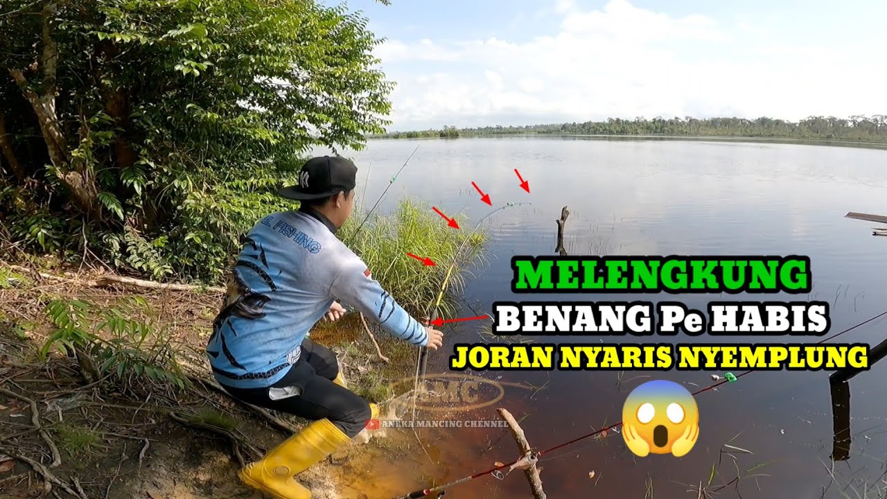 PANIK..!!Mancing Ikan Besar Joran Melengkung Benang Pe Sampai Habis