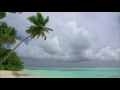 [10 Hours] Maldives Palm Tree, Beach and Waves - Video &amp; Audio [1080HD] SlowTV