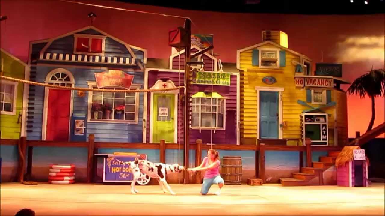 N20 USA FULL PETS AHOY SHOW AT SEA WORLD 2015 ORLANDO ,FLORIDA. YouTube