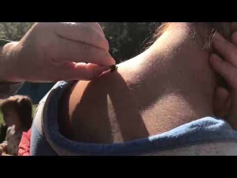 Апитерапия на пасеке для взрослых 18+