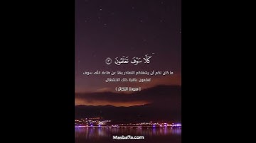 سورة التكاثر - الشيخ وديع اليمني #مسبحة #quran #قرآن