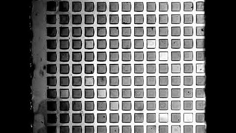 Square array of inhibitory coupled BZ oscillators.