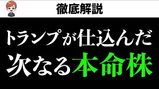 NVIDIAの次は？トランプが買い増した『AI裏方銘柄』5選