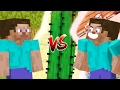Minecraft vs Animation Life