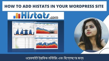 How to use Histats in your Wordpress Site for Website Traffic Monitoring and Analysis