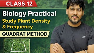 Study Plant Population Density and Frequency by QUADRAT method | Biology Practical | Boards 2025-26