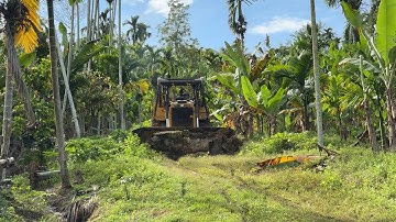 Extreme Challenge! 5 Caterpillar D6R XL Bulldozers Open a Difficult Path