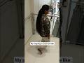 And what about your? #shorts #viral #explorepage