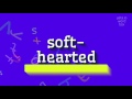 How to say "soft-hearted"! (High Quality Voices)