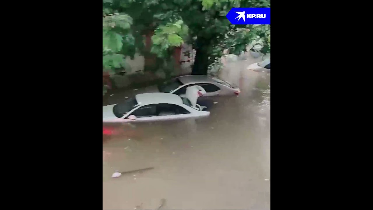 Индийский город Нагпур ушел под воду после наводнения