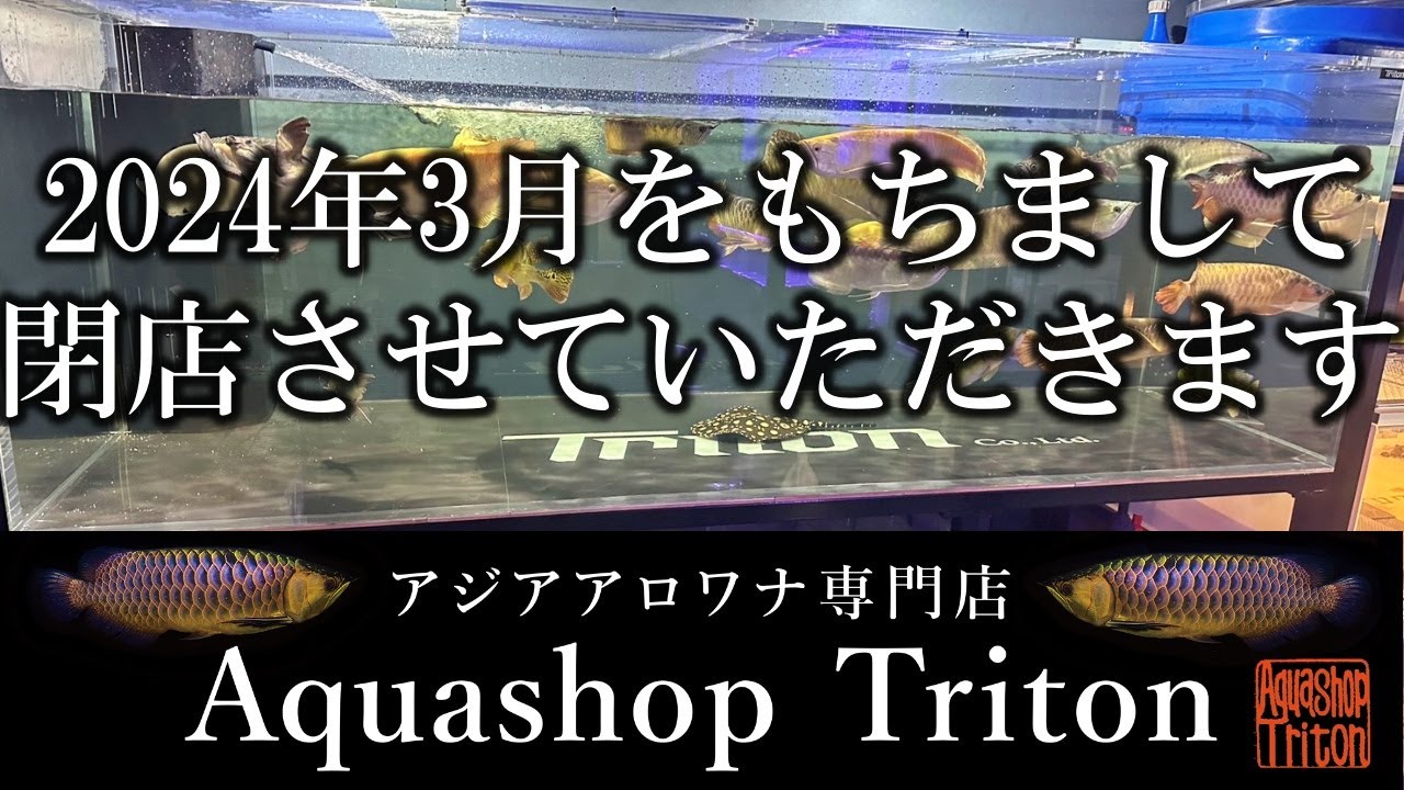 水槽（取引終了しました） Important] Aquashop Triton Closing Notice - YouTube