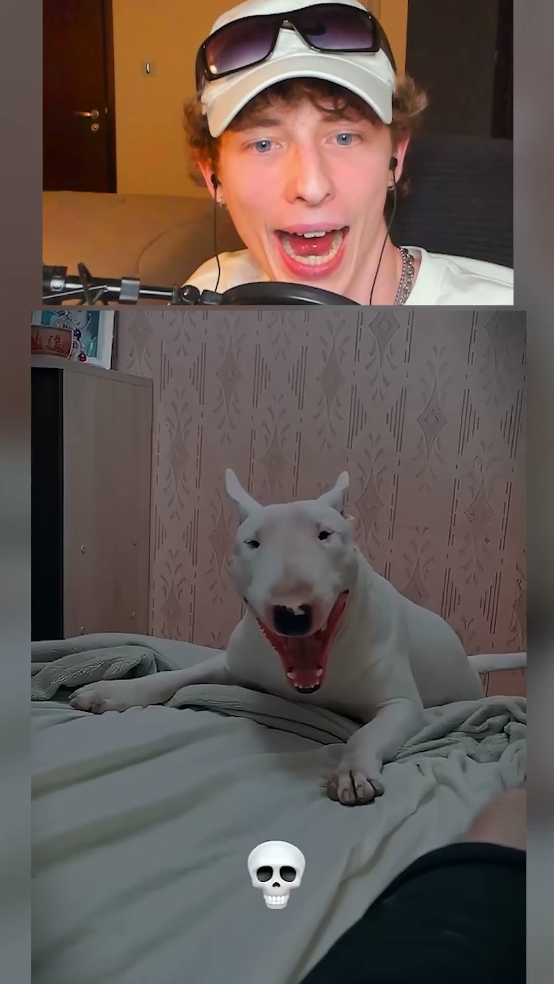 LA transformacion ANIMALES ?