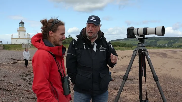Dolphin Photographer Charlie Phillips - Full Interview