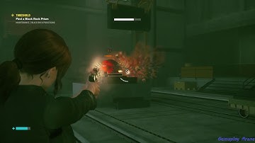 30 CONTROL - Find a Black Rock Prism - THRESHOLD - MAINTENANCE/BLACK ROCK PROCESSING