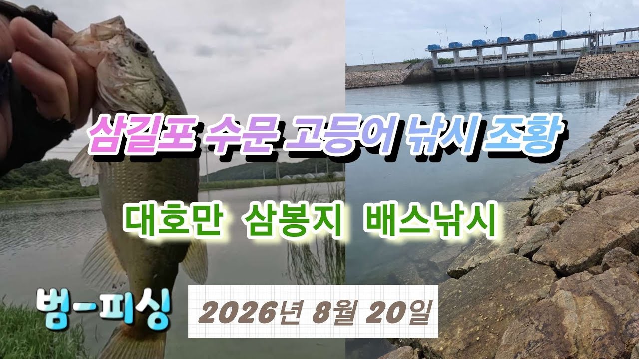 삼길포 수문 고등어 낚시 조황 대호만 배스낚시 ~