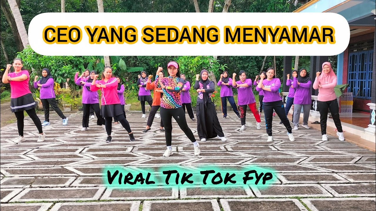 CEO YANG SEDANG MENYAMAR //SENAM AEROBIK MUDAH //SENAM  VIRAL //FINA KREASI 