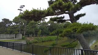 2020年6月18日 仁徳天皇陵は世界最大の古墳 時間があれば周回をどうぞ・・30-40分かかります。 2020年6月18日 仁徳天皇陵は世界最大の古墳 時間があれば周回をどうぞ・・30-40分かかります。