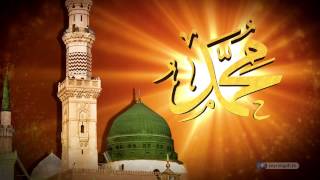 Ölü Bir Ağacın Dallarında Meyve Olur Mu? Delil