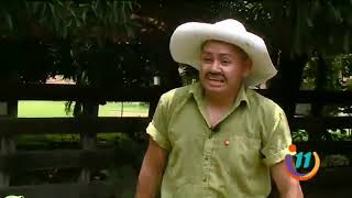 Nota Informe 11 Las Historias Personaje Manicero Imitaciones