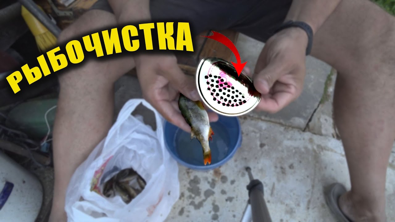 Чистилка для рыбы - YouTube