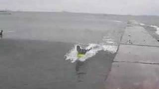 5 31サーフィン 内海 Youtube 5 31サーフィン 内海 Youtube