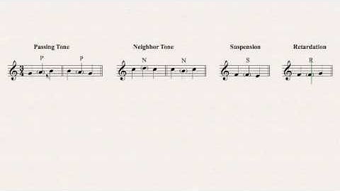 Ch 11 Video 1 - Intro