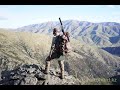 Охота в горах, mountain hunting