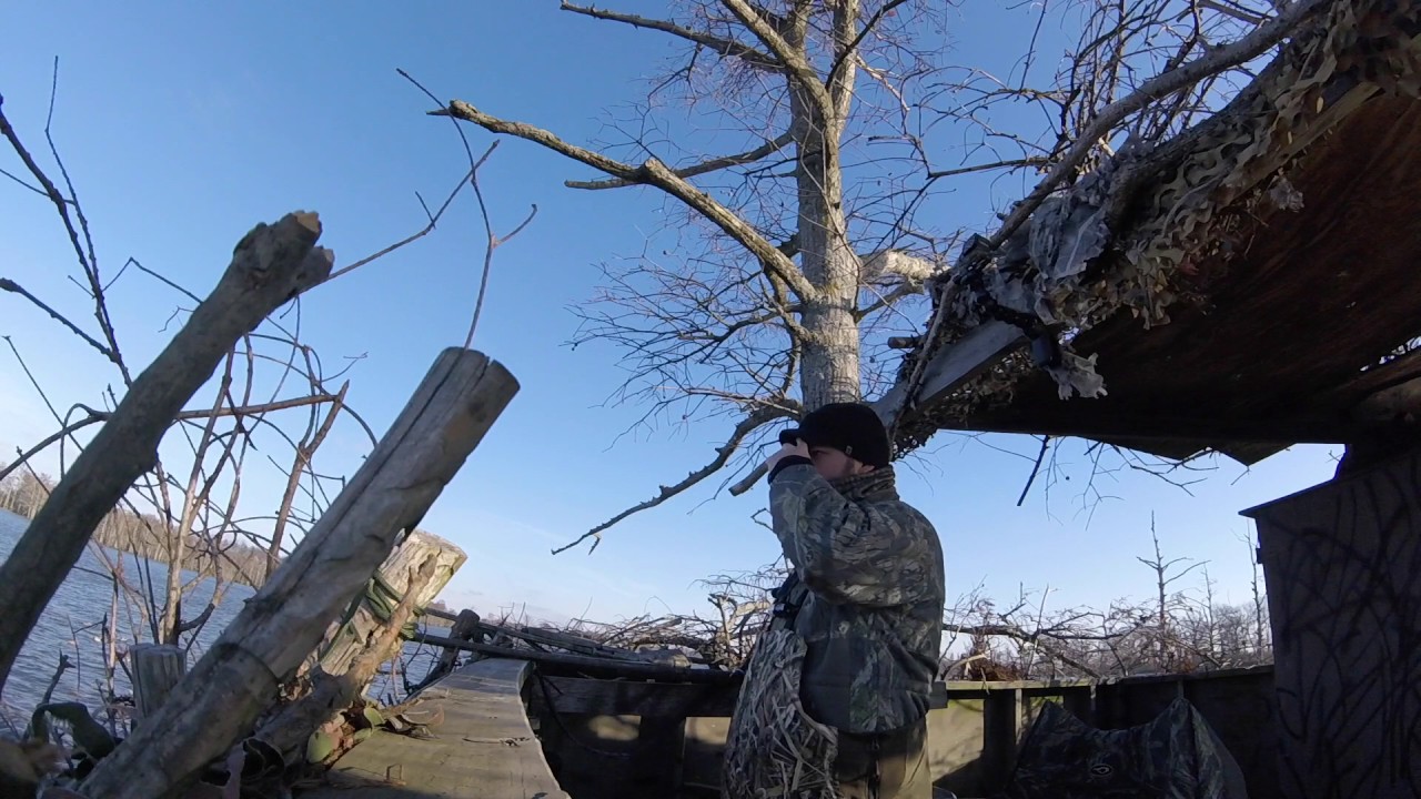 Duck Hunt: Beaver Dam 12-19-16