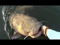 I Am Going To Catch BIG Fish Here! Trophy Catfishing Tips And Techniques