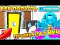 СИМУЛЯТОР ПИТОМЦЕВ! КАК ПОПАСТЬ В НОВУЮ ЛОКАЦИЮ! ПРОШЕЛ ИГРУ ЗА 5 МИНУТ ROBLOX PET SIMULATOR