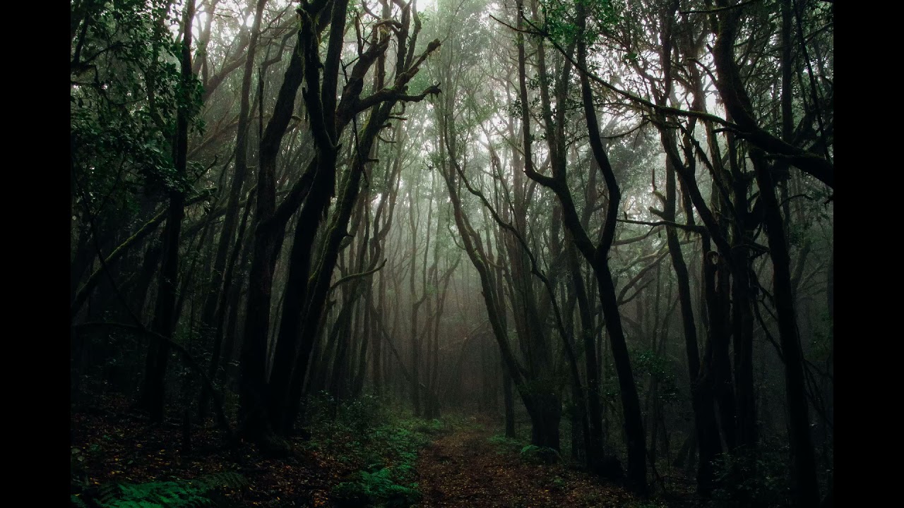 Best of nature - Deep dive in nature of relaxing music