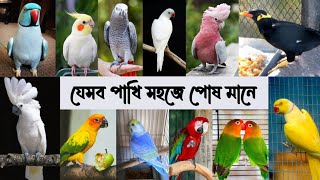 যেসব পাখি সহজে পোষ মানে । পোষ মানা পাখি ।  বাসায় পোষা পাখি । যে পাখি সহজে পোষা যায় । @RoufAgro