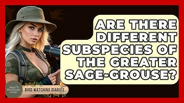 Are There Different Subspecies Of The Greater Sage-Grouse? - Bird Watching Diaries